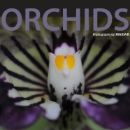 Orchids Volume 1 (Available Soon)