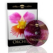 Orchids DVD
