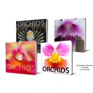Orchids Books (Available Soon)