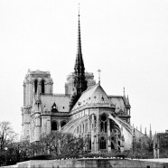 Notre Dame, Paris #12990103